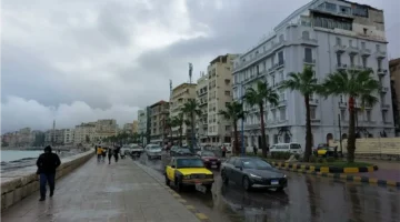 طقس دافئ.. الإسكندرية تشهد ارتفاعًا تدريجيًا في درجات الحرارة مع سماء صافية ورياح معتدلة اليوم